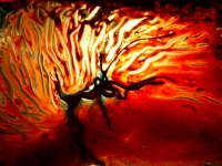bloodtreesynapse_0