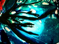synapse1