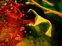 synapse2