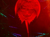 horseshoe-crab-in-virtual