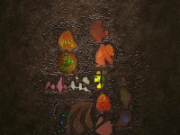 hohrainforest2009hologram
