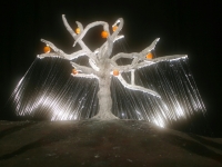 treeolife